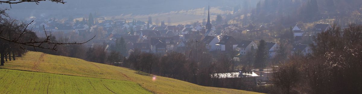 Immobilienmakler in Münklingen