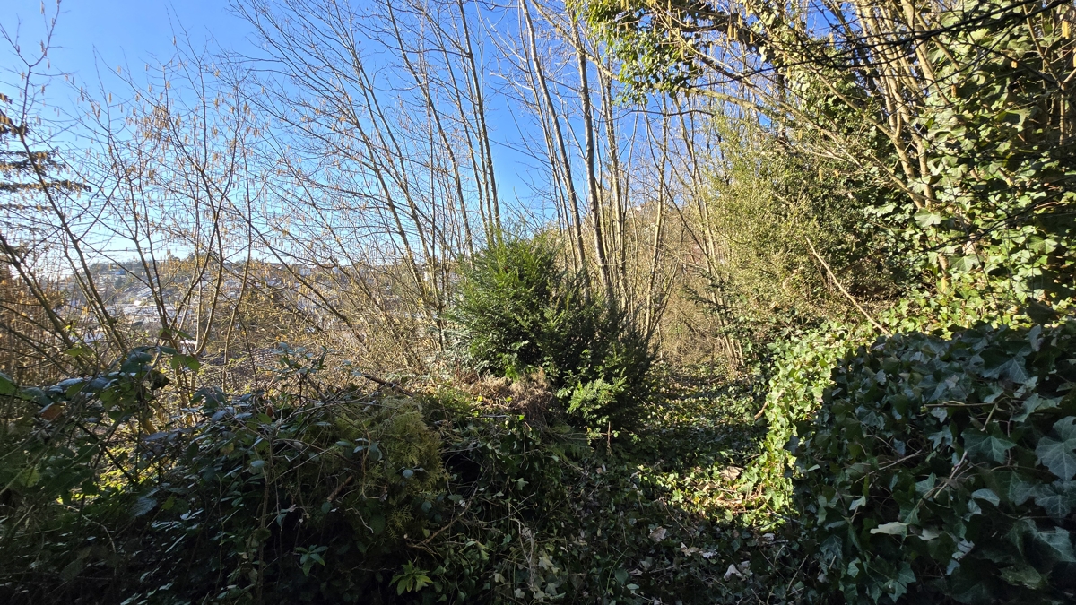 Grundstück / Garten