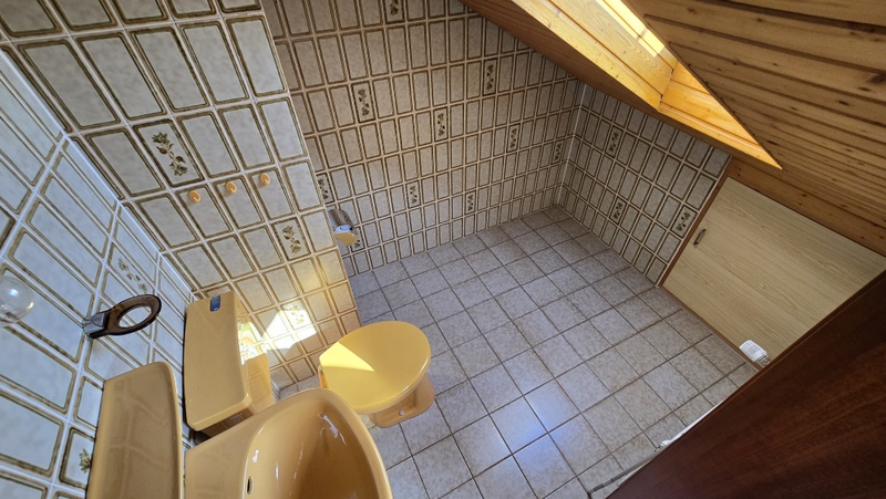 Tageslichtbad / Gäste WC im DG