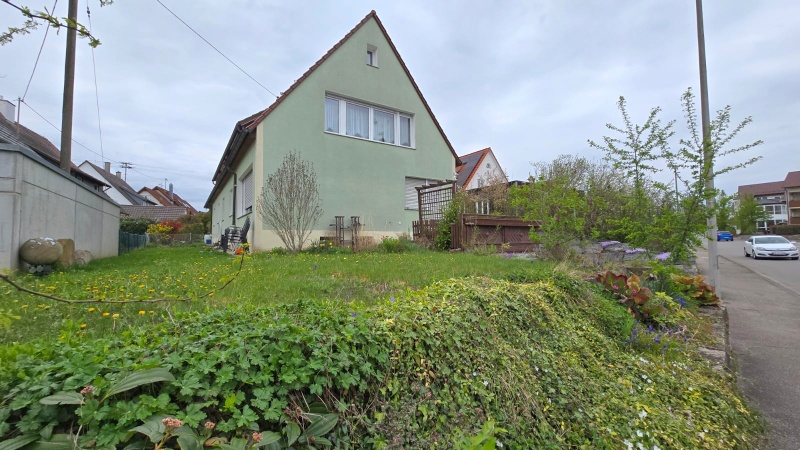 Außenansicht vorne mit Garten