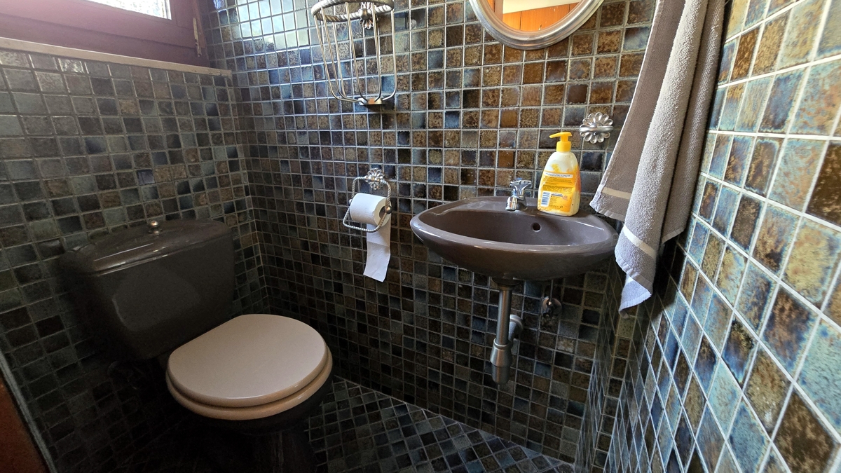Gäste WC im EG