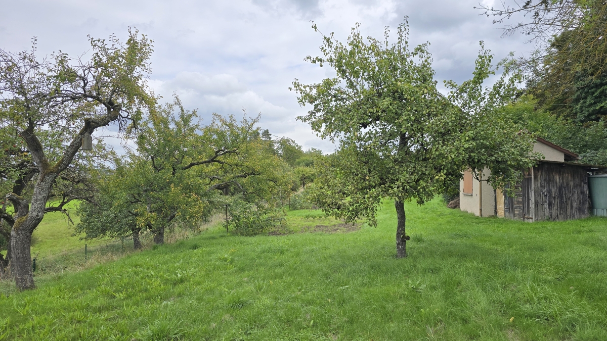 Grundstück mit Obstbäumen