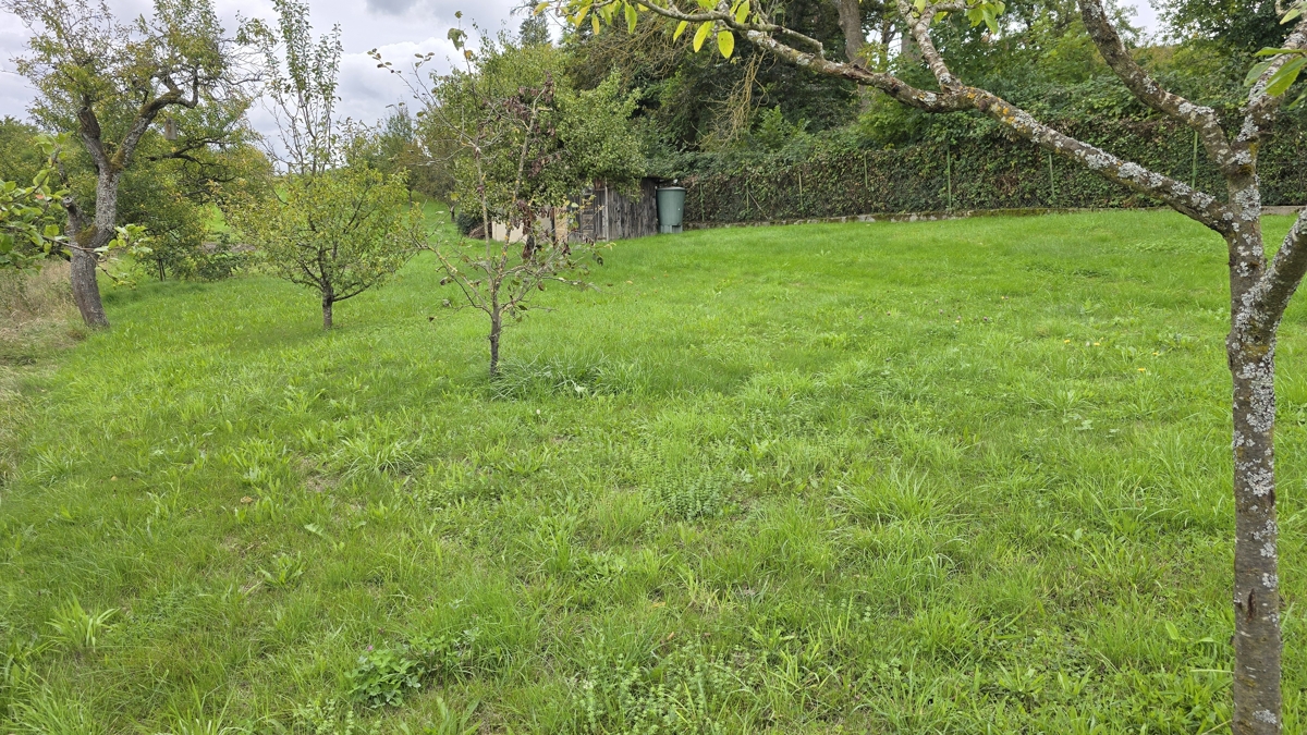 Grundstück mit Obstbäumen