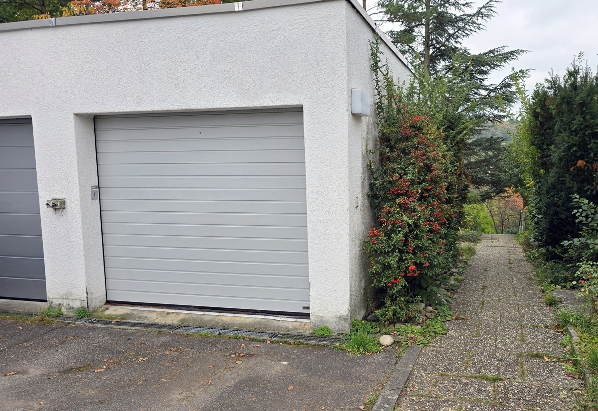 Garage und Zugang zum Haus