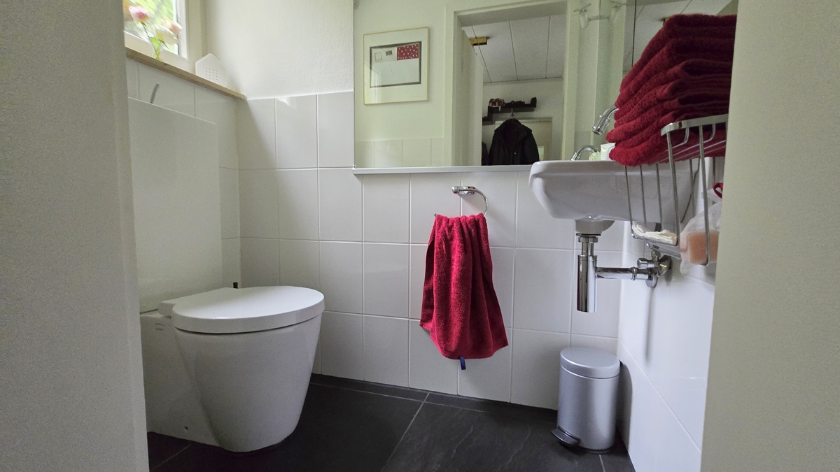 Gäste WC im EG