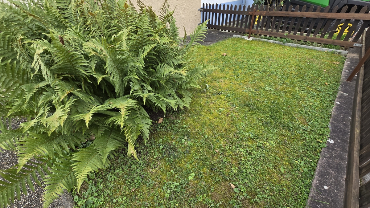 Gartenstück vor dem Haus