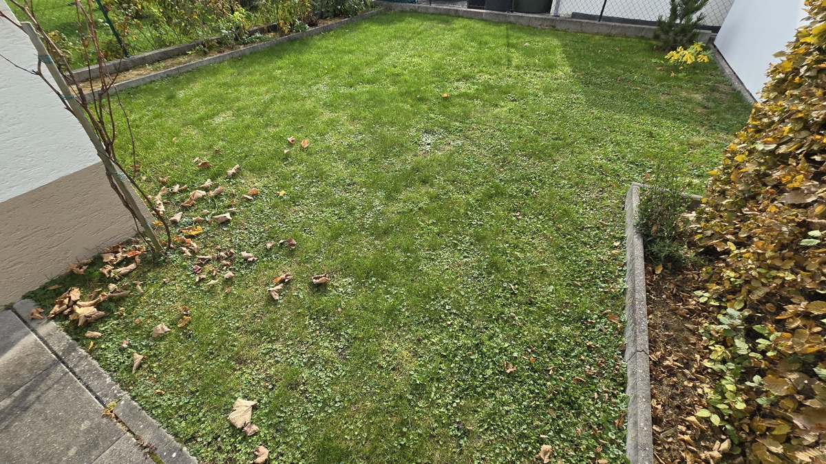 Garten hinter dem Haus