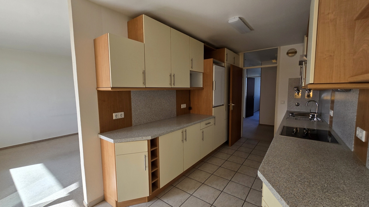 Küche mit Einbauküche