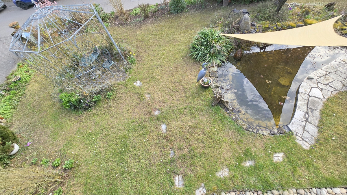 Gartenansicht mit Teich und Pavillon