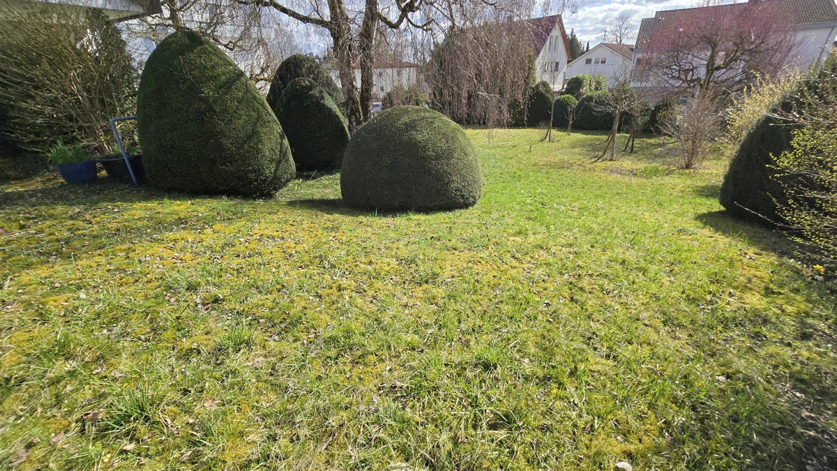 Grundstück / Garten