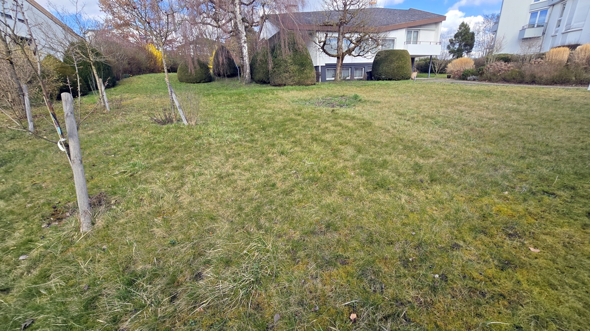 Grundstück / Garten