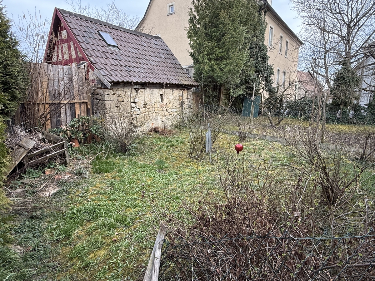 Garten hinten