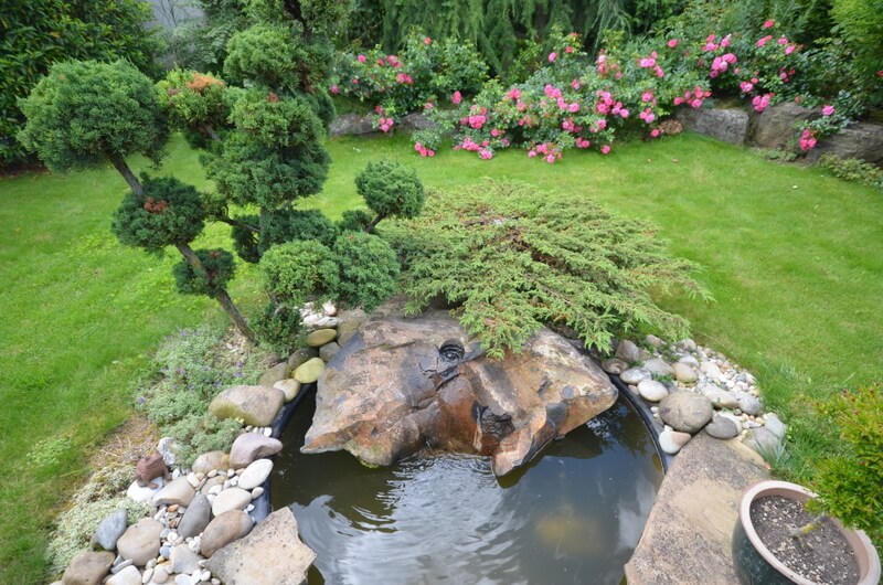 Teich im Garten