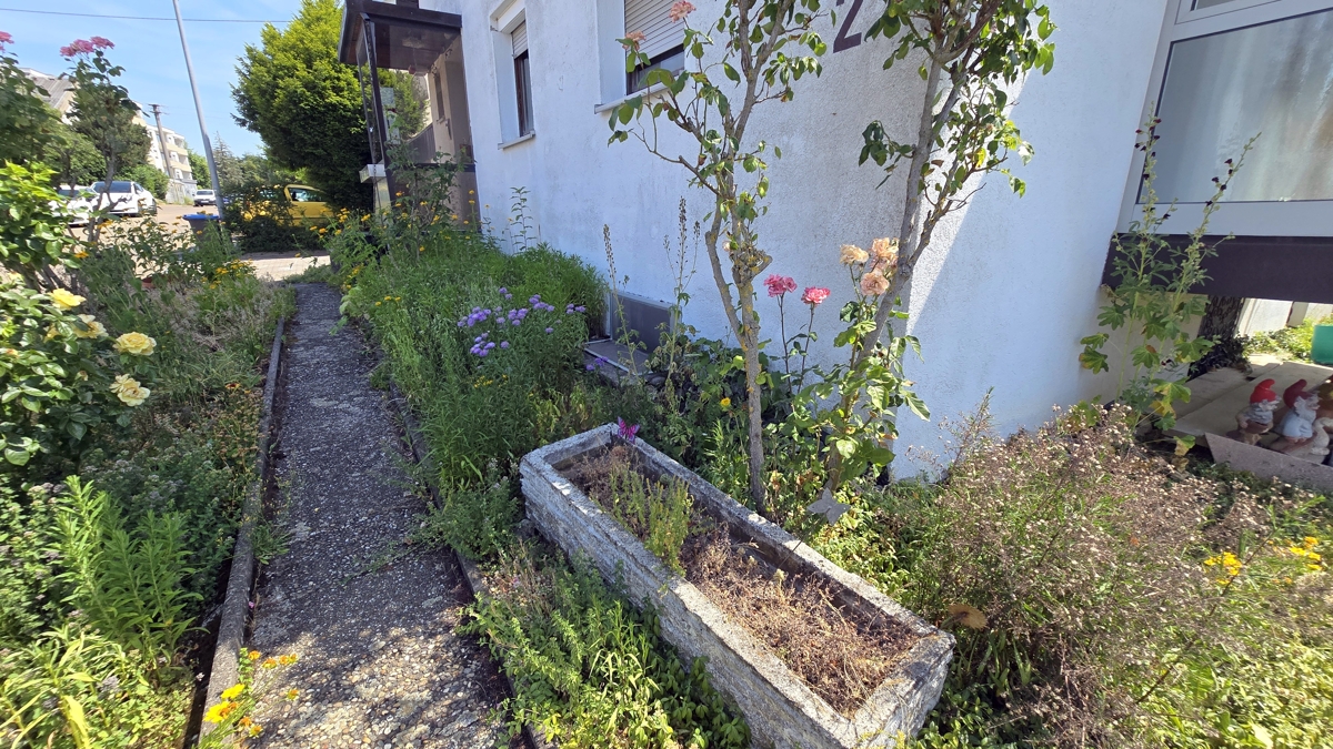 vor dem Haus