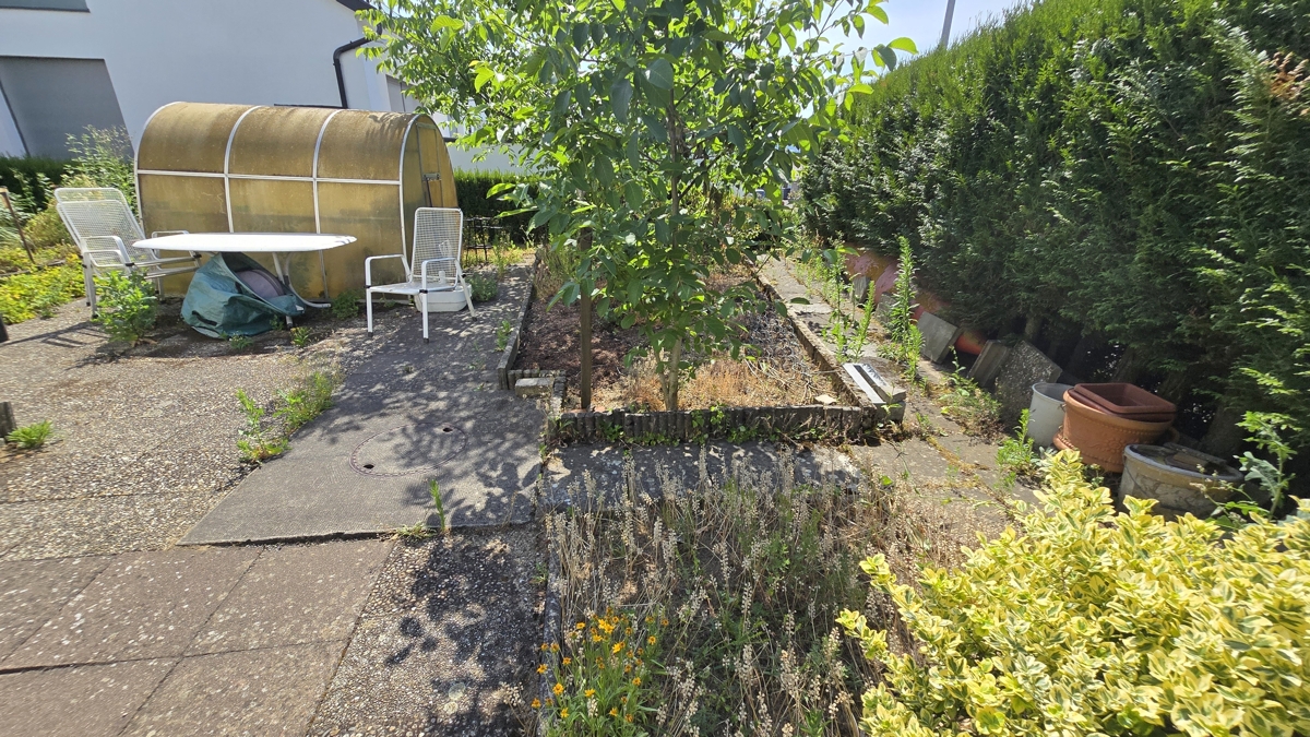 Terrasse und Garten