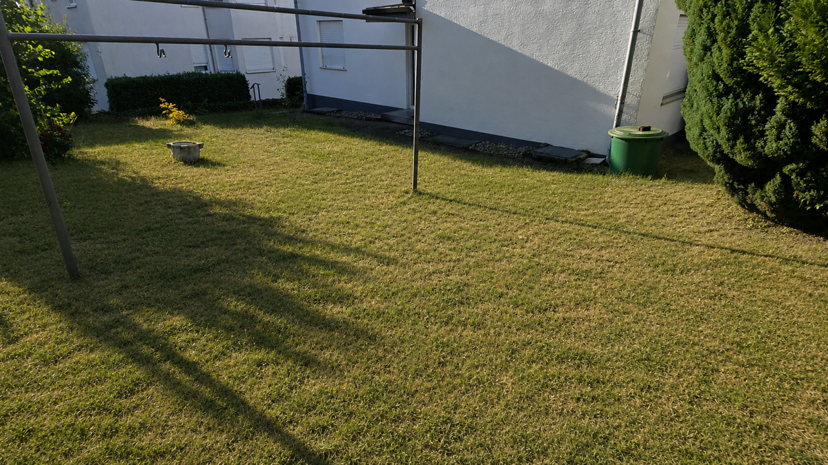 Garten hinter dem Haus