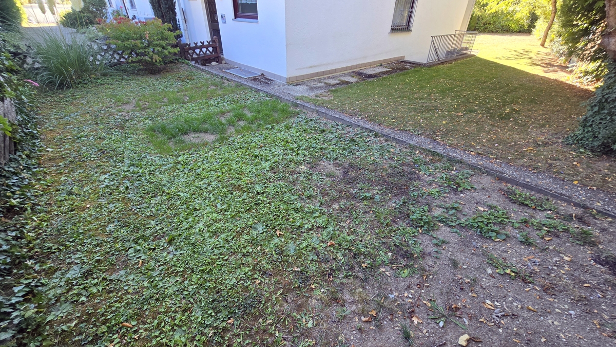 Garten vor dem Haus