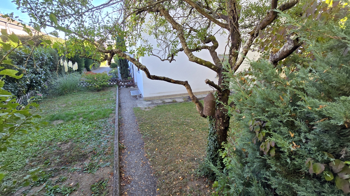 Garten vor dem Haus
