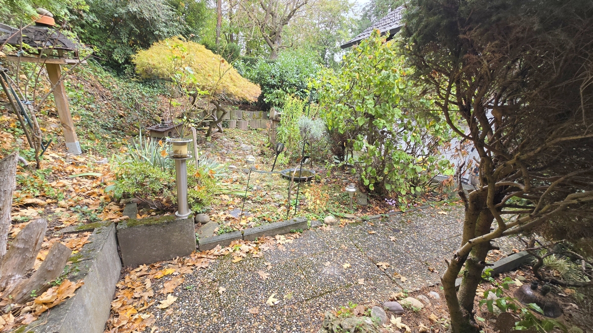 Garten vor dem Haus